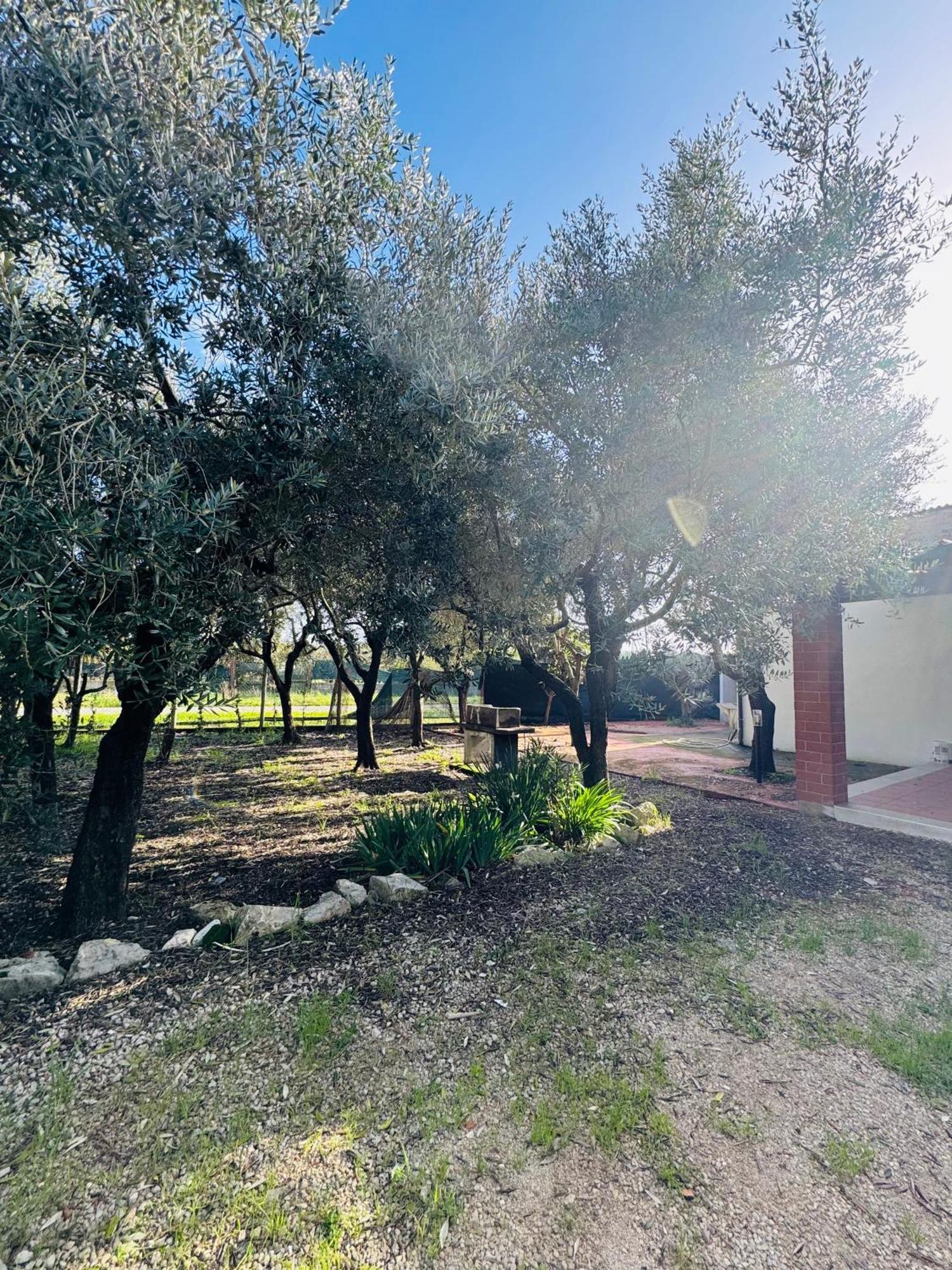 La Perla Di Dea Villa Lido Di Fondi Dış mekan fotoğraf